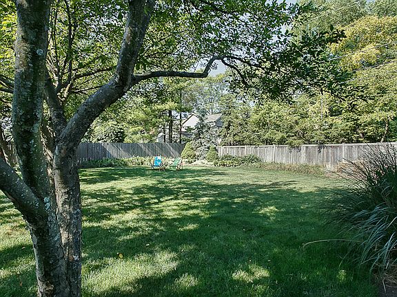 Large backyard