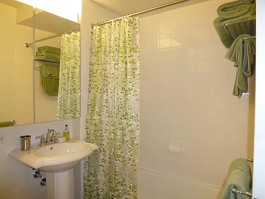 Rented by Carnegie Hill Place | media 51