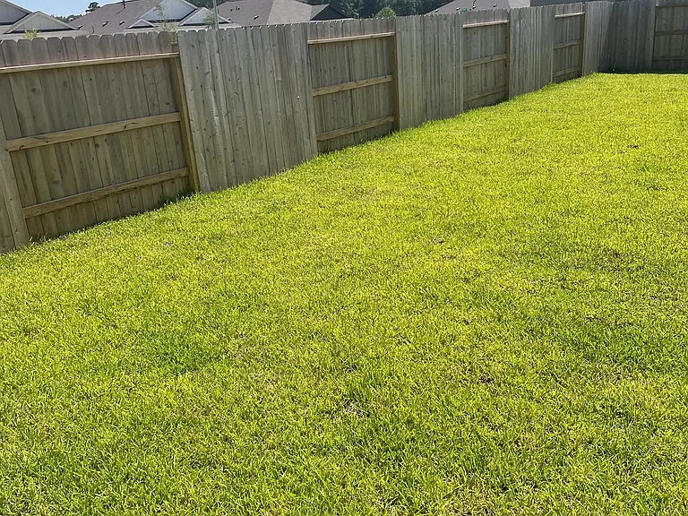 31505 Olivella Dr — Photo 13