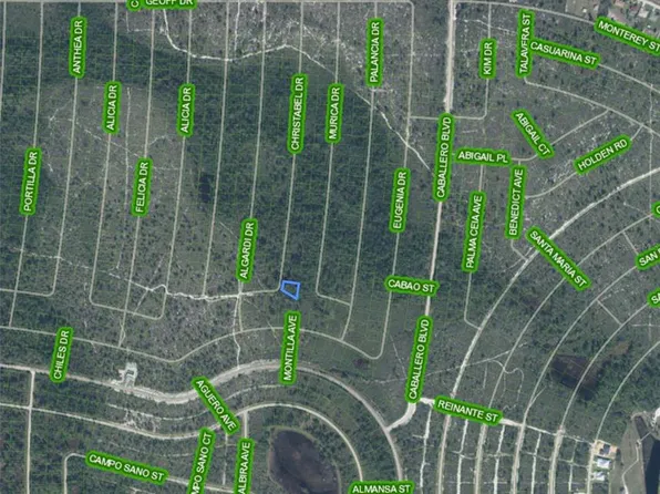 6522 Christabel Dr Lot 14, Sebring, FL 33872