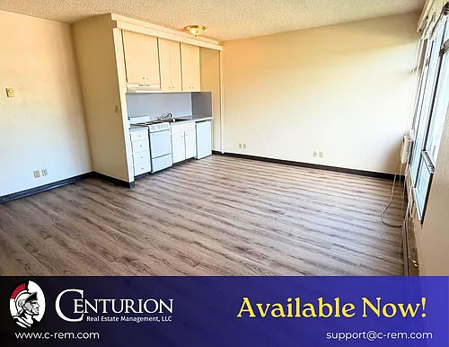 1313 Lincoln St #304 Photo 1