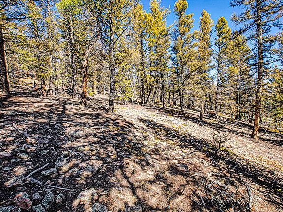 4th image of 2623 Redhill Rd