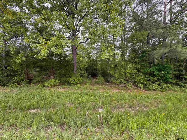 Tbd Highway 43, Jefferson, TX 75657