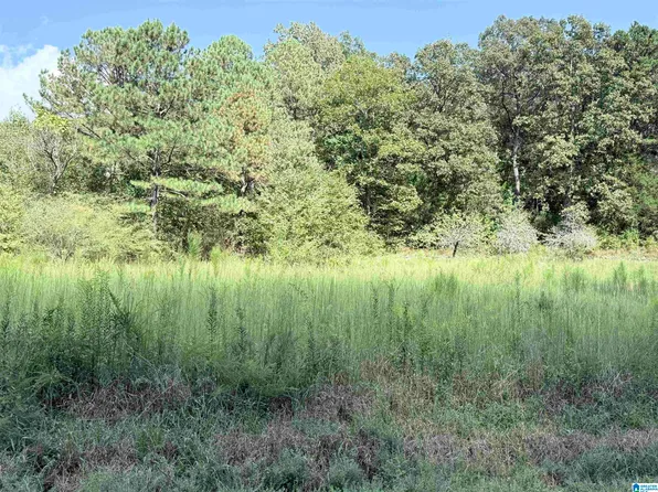 7 Stone Ridge Trl S #1, Anniston, AL 36207