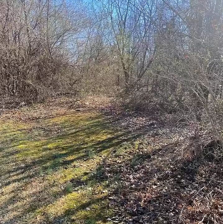 2nd image of 0 Miller St