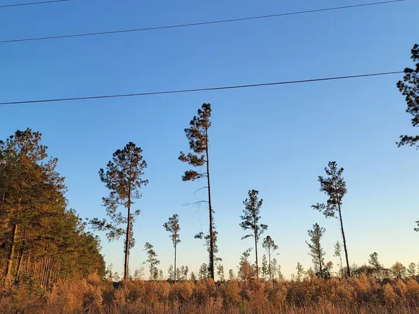 630 Hulls Island Rd., Loris, SC 29569