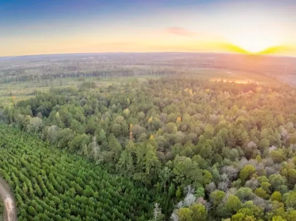 1070 County Road 2133, Burkeville, TX 75932