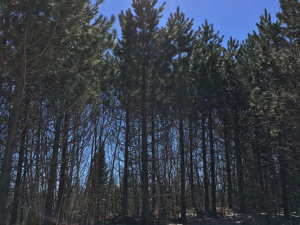 2nd image of Thomas Lake Rd