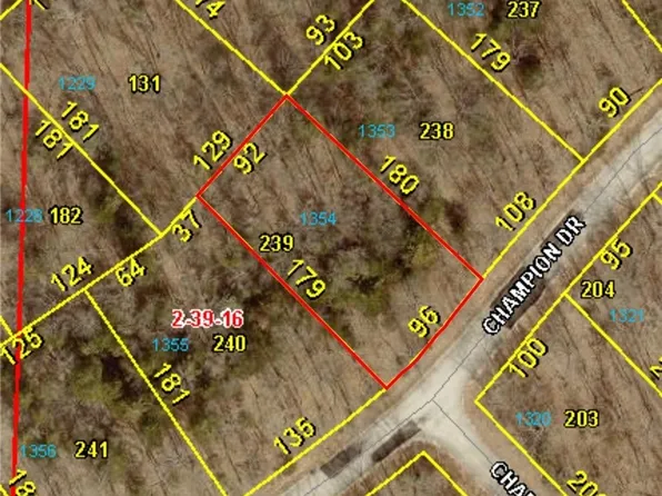 Champion Dr, Sunrise Beach, MO 65079