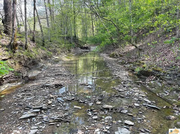 1751 Old 61 Loop Rd, Breeding, KY 42715