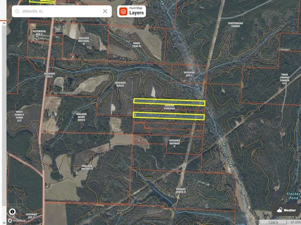 County Road 99, Abbeville, AL 36310