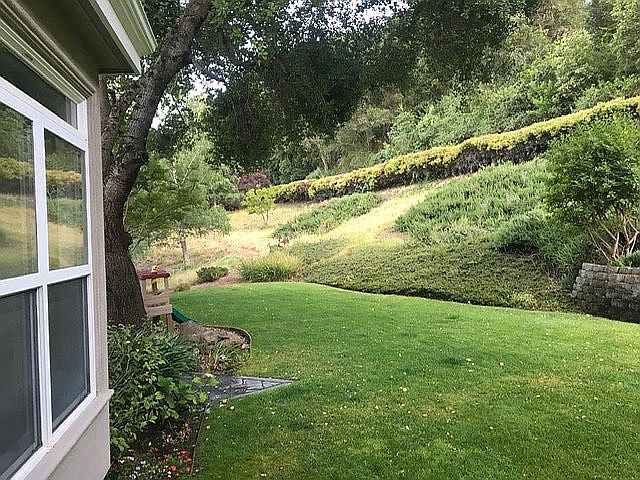 Front yard 