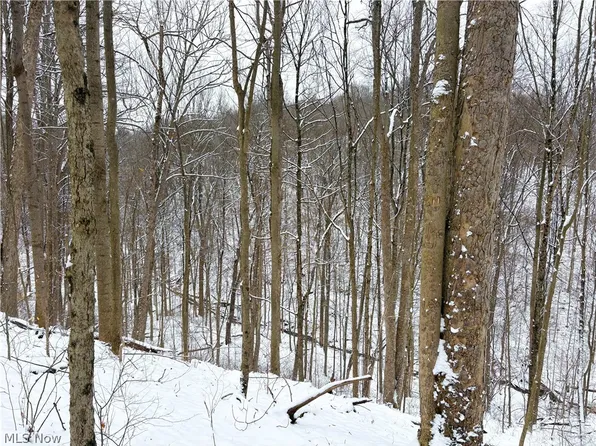 2 0th Tract, Woodsfield, OH 43793