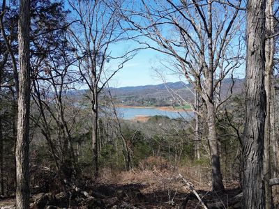 7 Kickin True Way, Bean Station, TN, 37708