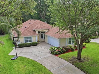 32 Meadow Ridge Vw, Ormond Beach, FL, 32174