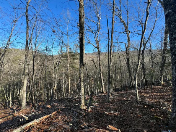 45 Black Diamond Dr, New Castle, VA 24127