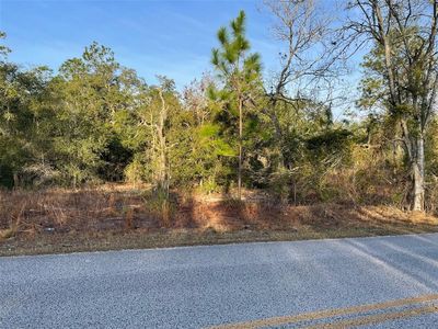 LOT 11 SW Half Moon Dr Lot 11, Dunnellon, FL, 34431
