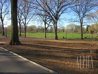 Rented by Alpha Properties NYC I LLC