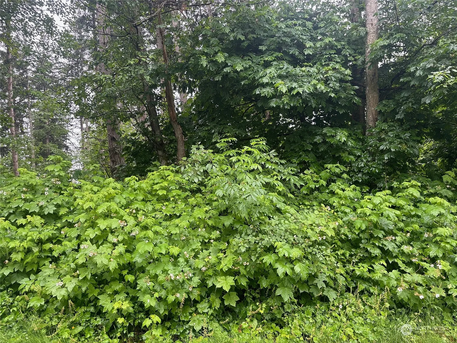 64 B Port Susan Drive photo 1