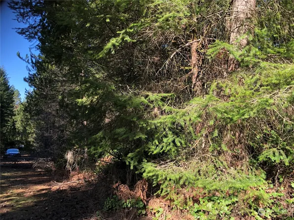 0 NE Munson Court, Belfair, WA 98528