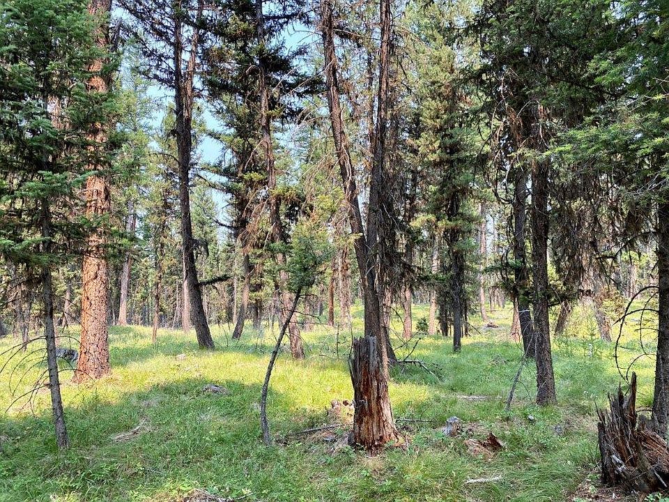 1st image of 167 Telemark Way