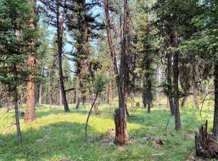 167 Telemark Way, Seeley Lake, MT 59868