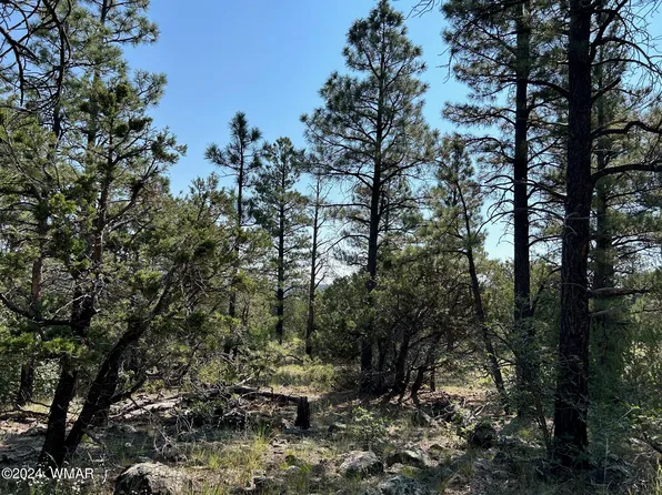 4 N 3305th, Vernon, AZ 85940