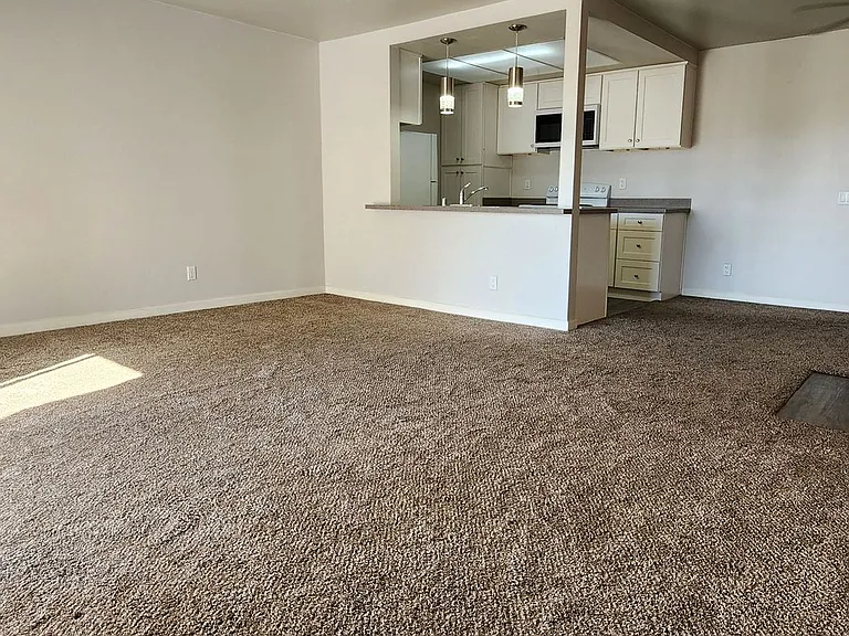 31932 Del Cielo Este — Photo 7