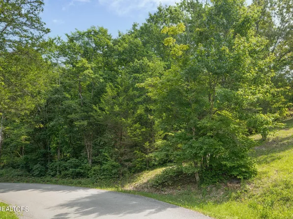 Brown Mountain Loop Rd, Knoxville, TN 37920