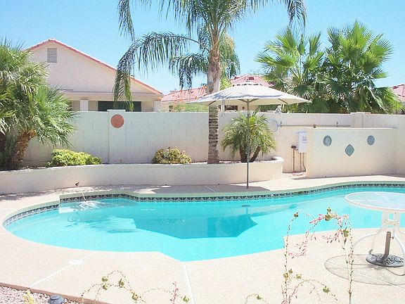 Back Yard Pool