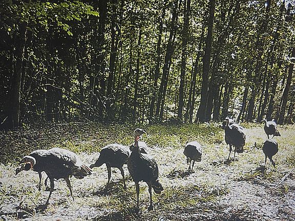 17th image of 450 County Road 28