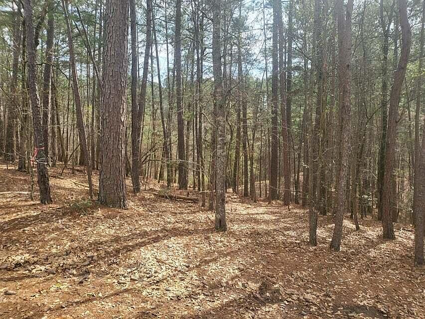 2nd image of 5193 Bluegrass Trail