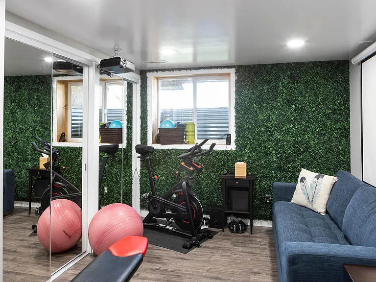 5th bedroom/gym (basement)