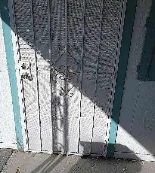 FRONT DOOR WITH HEAVY METAL SECURITY SCREEN DOOR OH AND THE SHERIFF LIVES NEXT DOOR.
