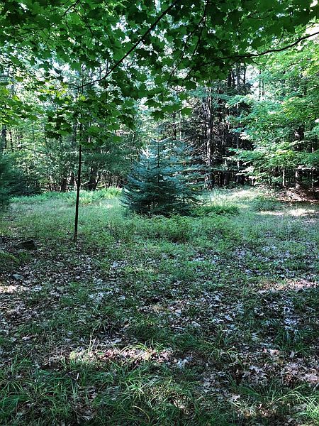 5th image of 0 FIRE TOWER Road