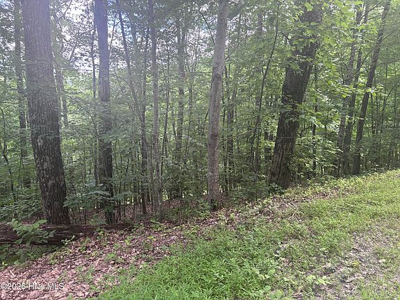 5th image of LOT 169 Wilderness Creek Way