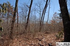 1st image of TBD Center Drive