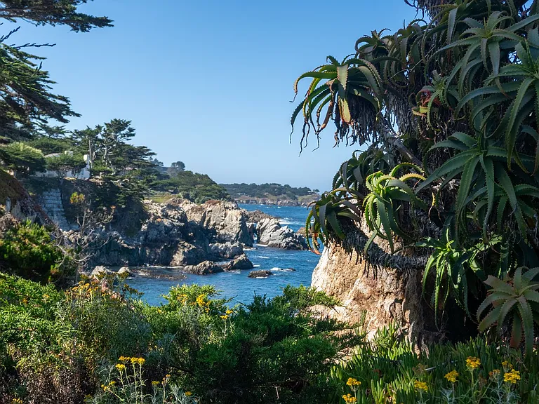 100 Highway 1 — Photo 35