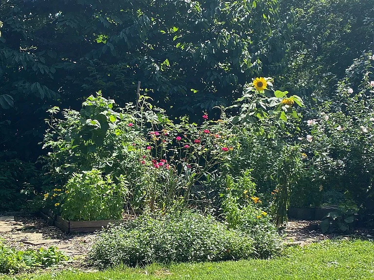 Garden in back