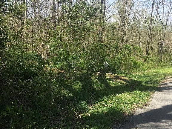 3rd image of 191 Robert Smith Ln