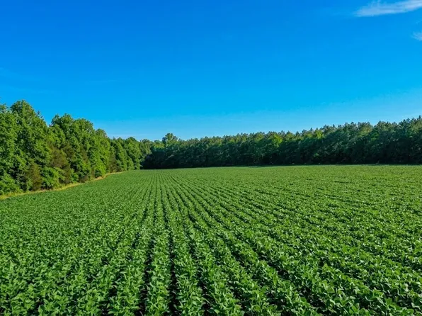 0 Doe Rd, Saltillo, TN 38370