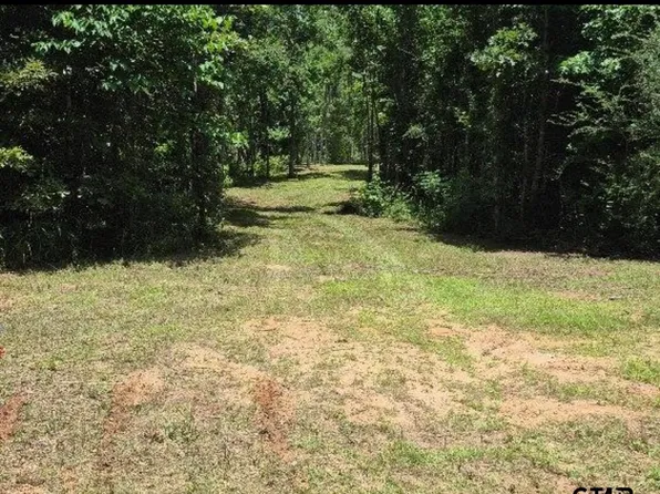 19427 County Road 2153, Troup, TX 75789