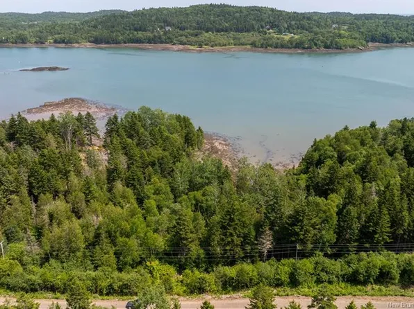 159 Harbour Heights Dr Lot 85, Campobello Island, NB E5E 1H8