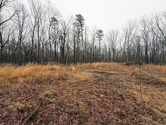 5th image of 551 Cliff Park Rd