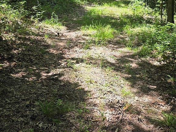 4th image of 0 Hardship Ln Lot 1