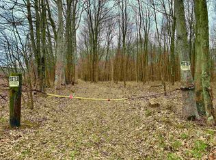 Conley Rd, Bruceton Mills, WV 26525