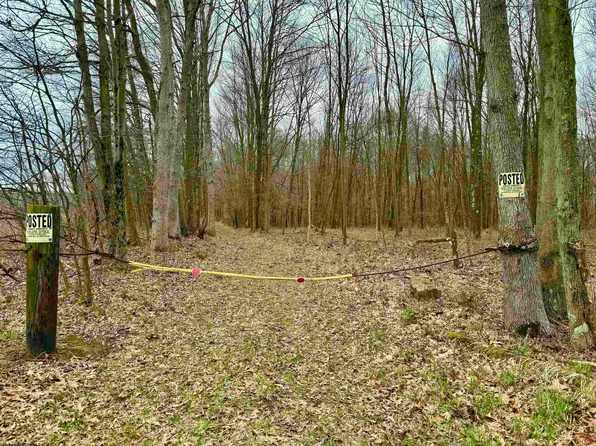 Conley Rd, Bruceton Mills, WV 26525