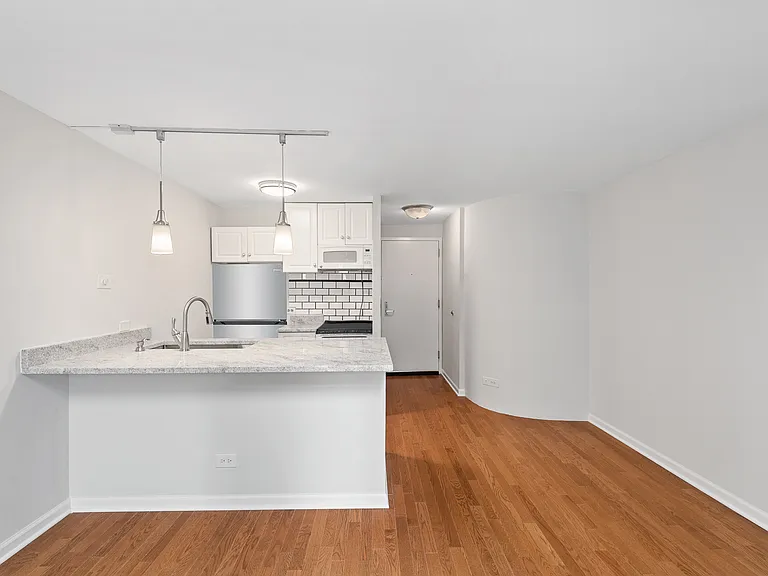 1221 N Dearborn Pkwy #806S — Photo 2