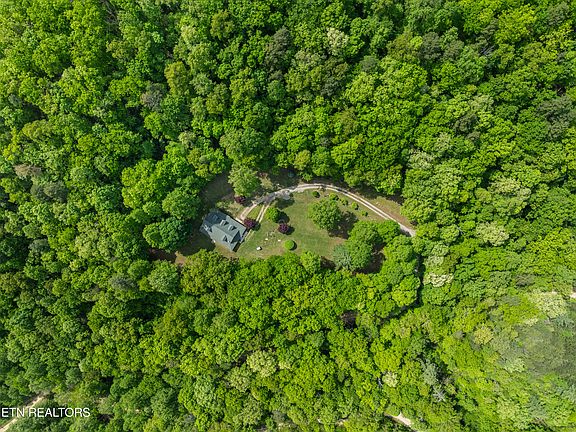 50th image of 1043 Reagan Springs Rd