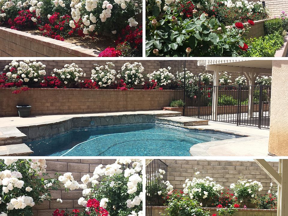 2nd image of 39535 Primrose Ct